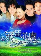《流星花园2001》电视剧完整版全集免
