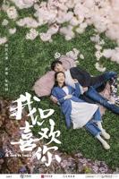《我只喜欢你》电视剧全集在线观看_免费播放
