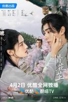 《惜花芷》电视剧汉语普通话免费在线观看全集