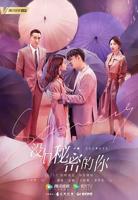 《没有秘密的你第01集》免费观看-电视剧全集-高清完整
