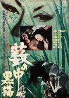 《黑猫》电影免费在线观看高清完整版