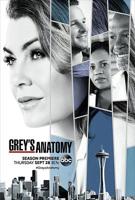 美剧《实习医生格蕾第十四季》电视剧免费在线观看高清完整版全集